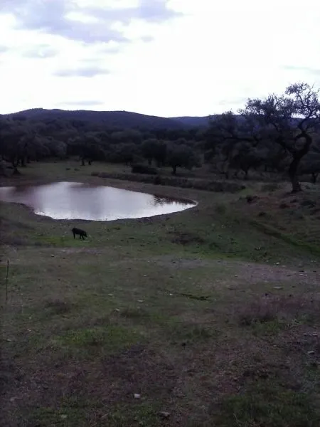 DEHESA 160 Has, GANADERA SIERRA DE HUELVA — 2