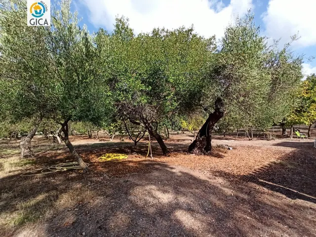 CASA CON PARCELA  EN LA SIERRA DE CADIZ -EL BOSQUE — 45