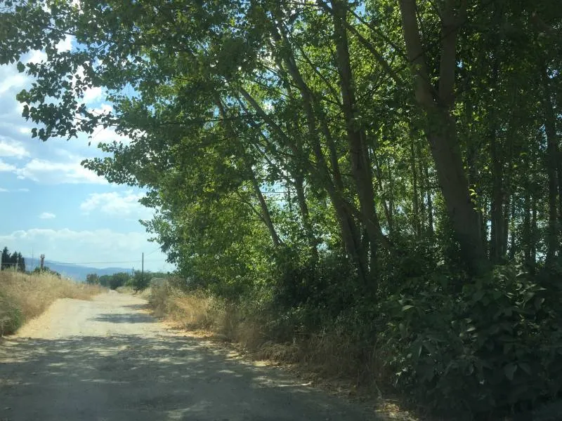 VENTA: Finca Rustica N-120