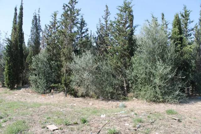 Terreno Industrial en Olesa de Montserrat en Venta o Alquiler — 7