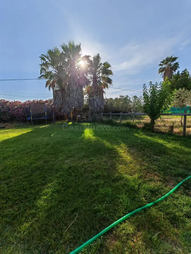 DOS VIVIENDAS, PISCINA, JARDIN Y HUERTO A MINUTOS DE D. BENI - foto 3