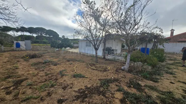 Parcela con refugio de madera zona Rana verde.