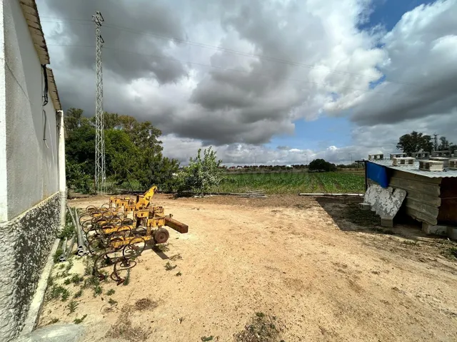 ¡¡6 HECTÁREAS DE TERRENO CON 3 CASAS, NAVES, Y TRASTEROS!! - foto 5