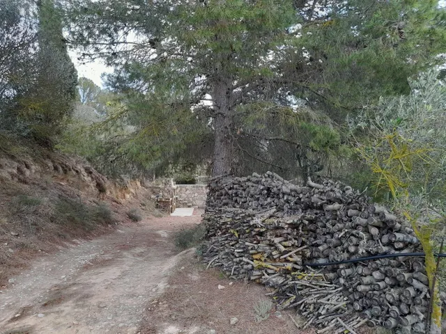 OPORTUNIDAD FINCA RUSTICA DE REGADIO CON CASA DE CAMPO EQUIPADA EN ASCO — 24