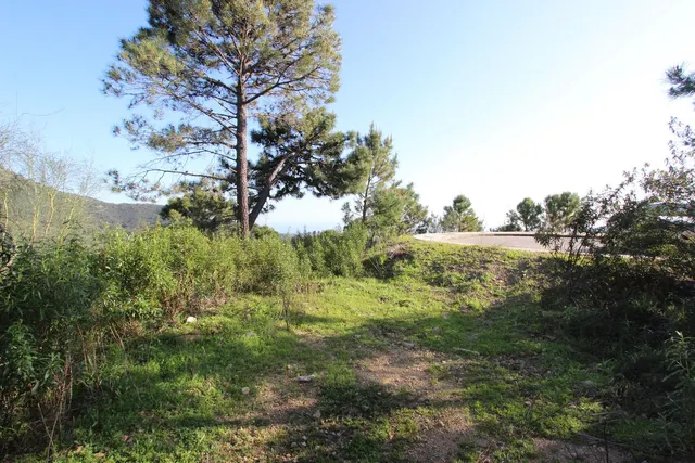 Parcela exclusiva con vistas al Mediterráneo en Benahavís — 11
