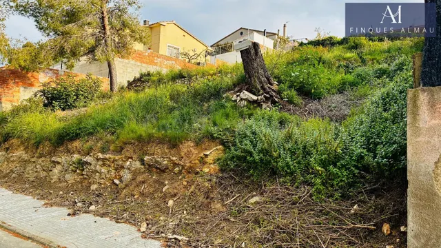 Terreno urbano en venta en calle de los Pinos 84. Costa Cuni - foto 2