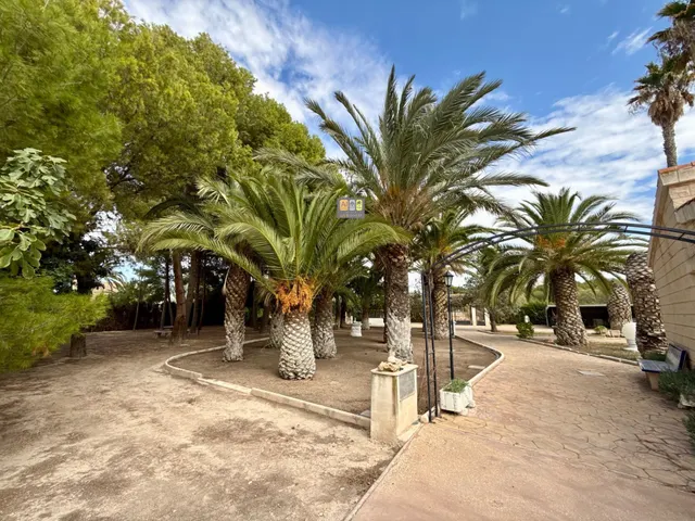 FINCA EXCLUSIVA CON GRAN POTENCIAL EN ELDA — 6