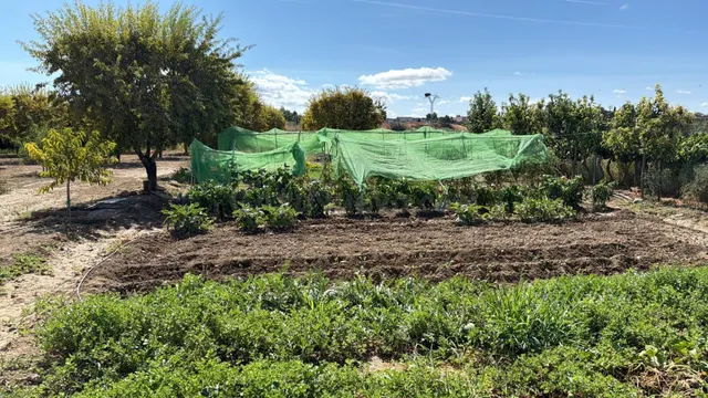Terreno Rural en Ejea de los Caballeros — 2