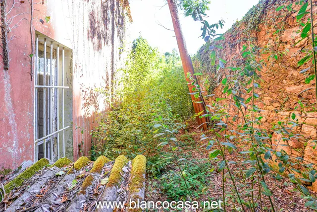 ¡¡CASA + FINCA de 9916 M2 + HÓRREO para REFORMAR por 68.990 €!! — 13