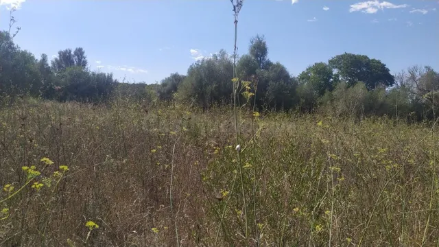 Terreno en venta en Algaida - foto 4