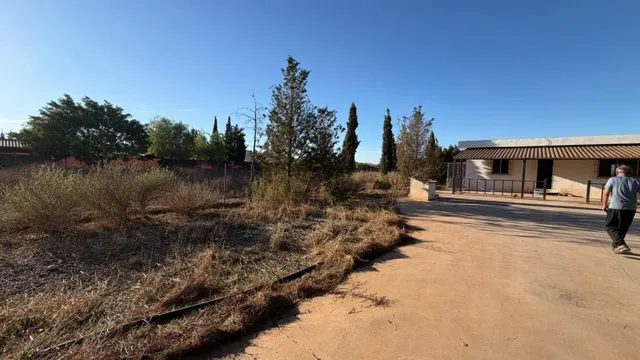 SE VENDE CASA DE CAMPO EN EL PALMERO — 6