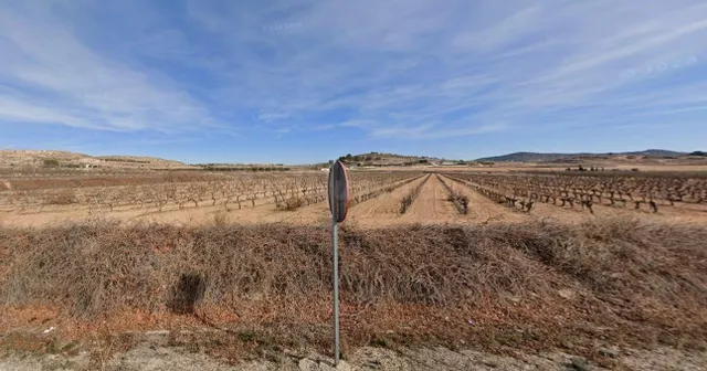 Terreno rural 66100m² en venta - Comunidad valenciana - foto 3