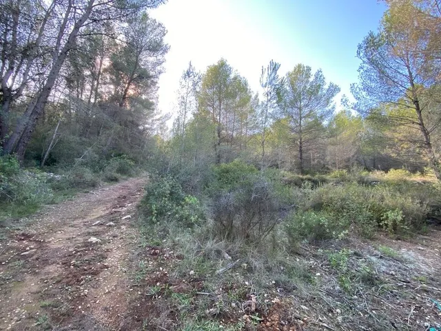 OPORTUNIDAD ENORME TERRENO EN VENTA POR 150.000€ — 32
