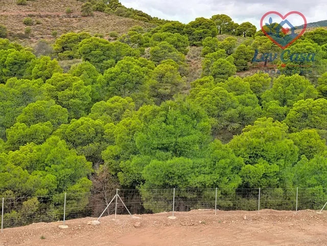 FINCA DE 10.400 M2 CON PISCINA EN SIERRA ESPUÑA — 120.000 € — 26