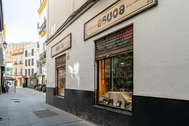 SE TRASPASA TIENDA ESPECIALIZADA EN TÉ, CAFÉ Y CHOCOLATE — 9