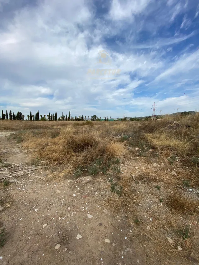 ZONA LA BARQUERA - Parcela de 16.000 m2 con escrituras, con  - foto 4