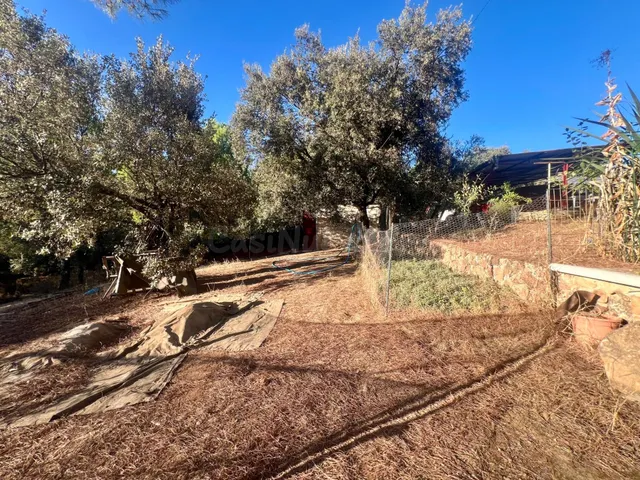 Espectacular finca en Villaviciosa de Córdoba – en pleno corazón de sierra morena — 5