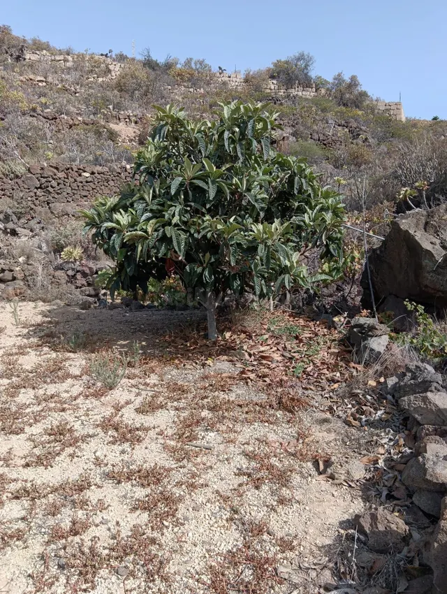 Terreno en el Salto - foto 4