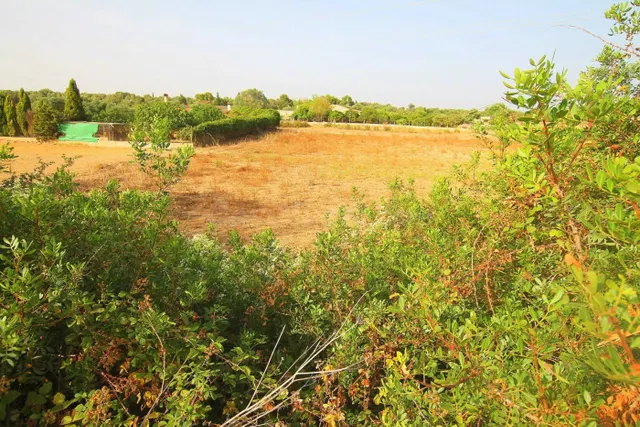 TERRENO EN MANACOR - foto 5