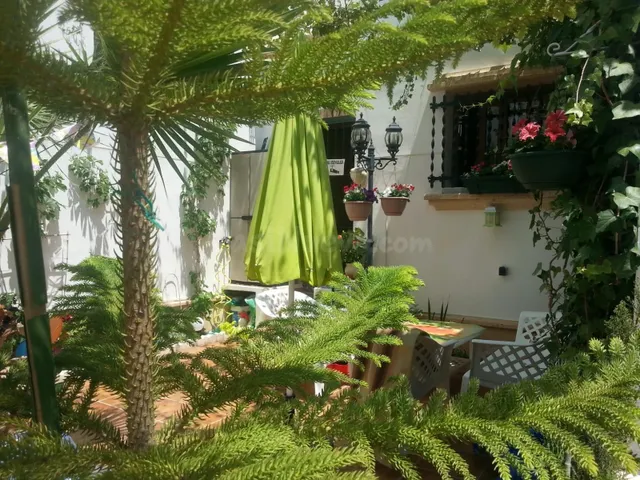 Dúplex de 2 dormitorios y 2 baños en Villamartín (Orihuela C - foto 3