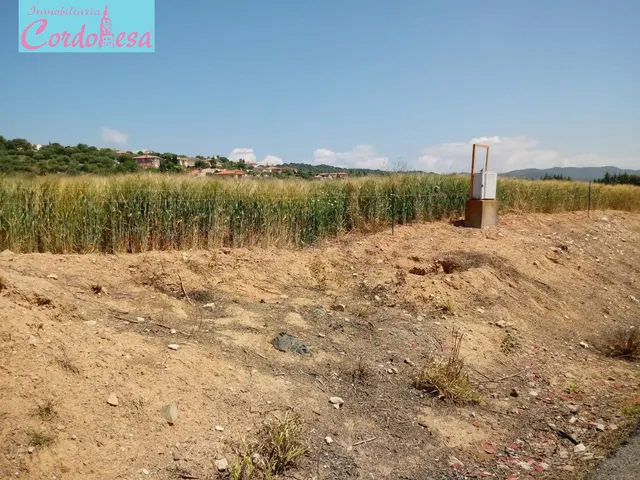 TERRENO EN CUEVAS BAJAS!!! — 5