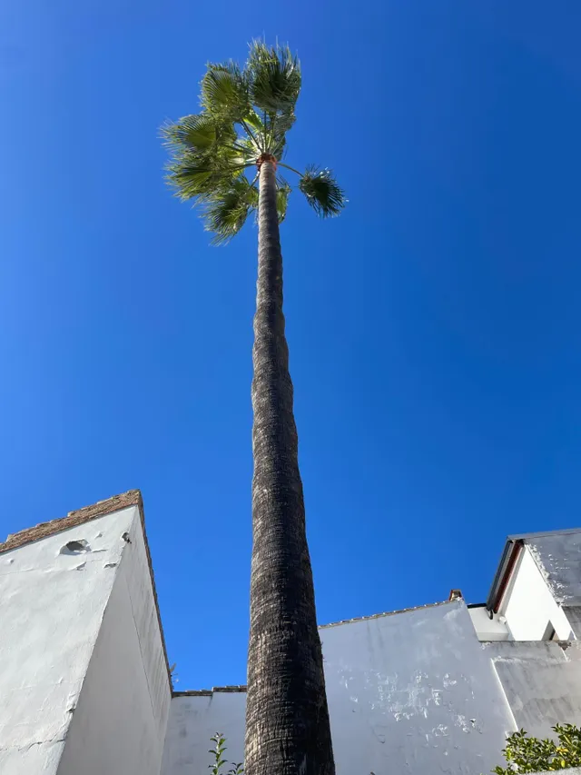 Una residencia exclusiva con terrazas panorámicas en un paraíso natural. — 50
