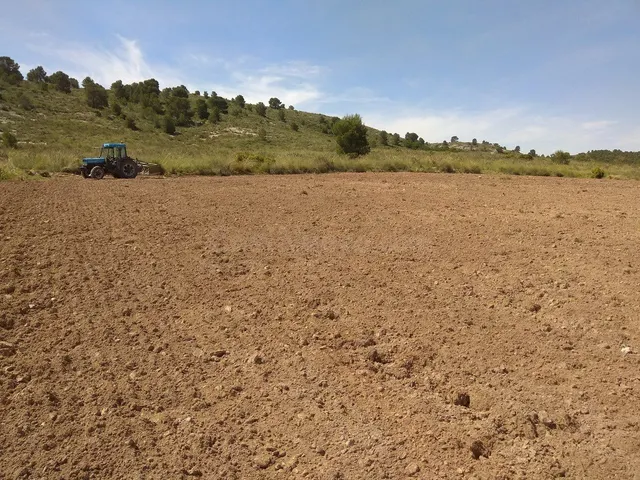 Parcela en venta - Ayuntamiento