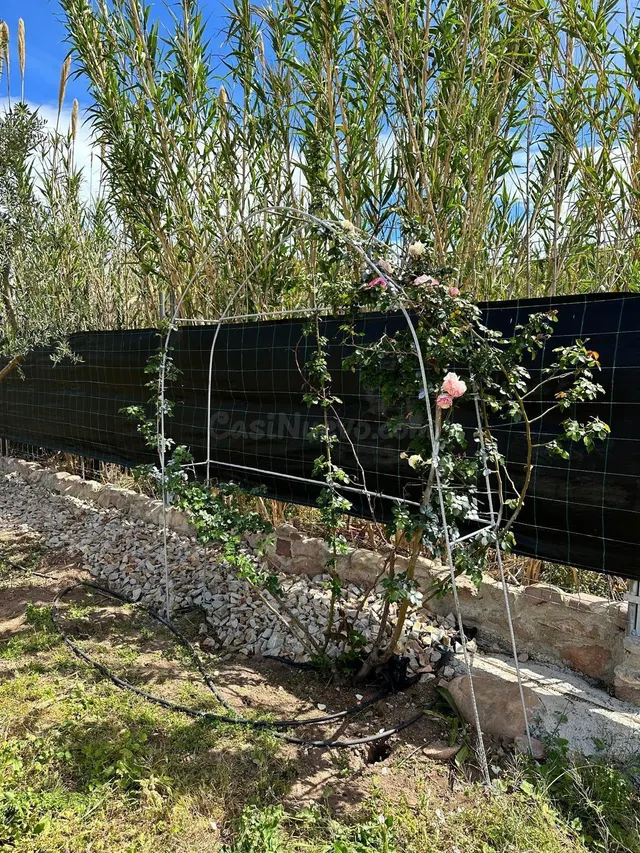 Finca rústica con construcción, agua y 1.875 m2 a pocos minutos de Sagunto — 2