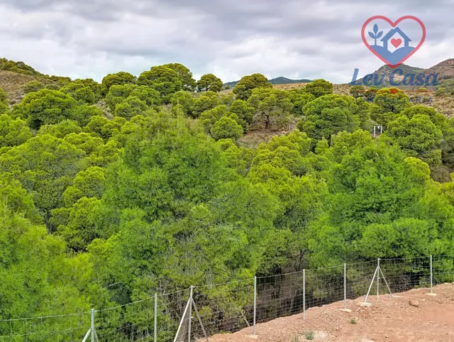FINCA DE 10.400 M2 CON PISCINA EN SIERRA ESPUÑA — 120.000 € — 18