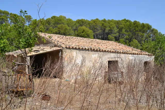 Finca rústica en Campanet — 11