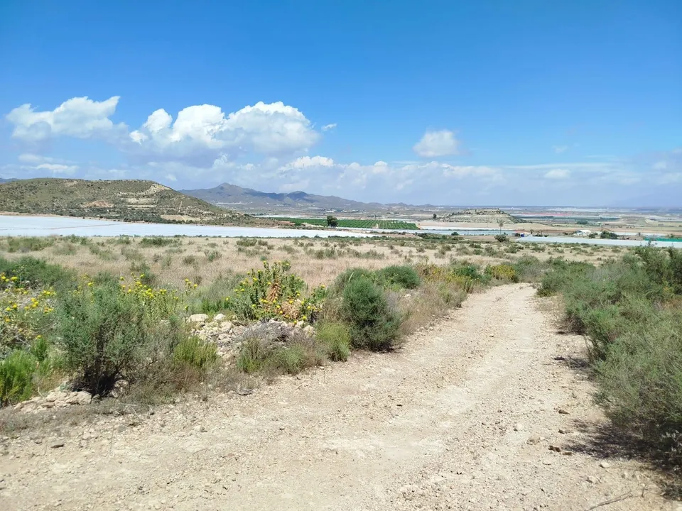 Terreno rural en venta - Leiva