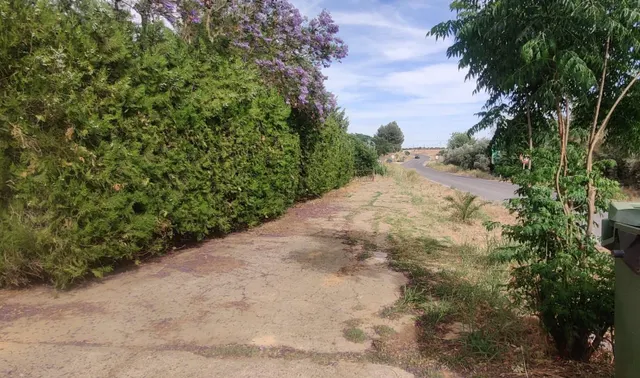 TERRENO URBANIZABLE SECTORIZADO EN ALMENSILLA — 11