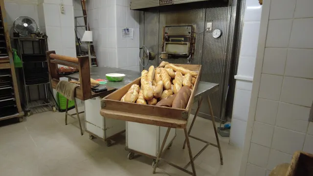 TRASPASO DE HORNO  BOLLERÍA  EN EL BOTANIC — 7