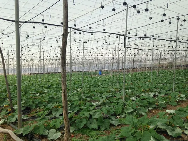 TERRENO EN GUÍA DE ISORA - foto 4
