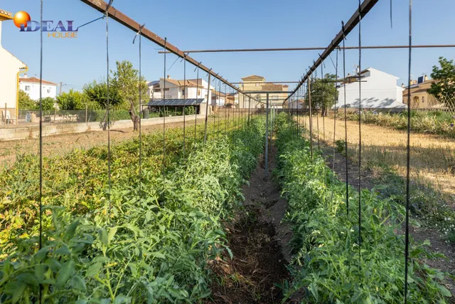 TERRENO URBANO 1060m EN LA ZUBIA — 13