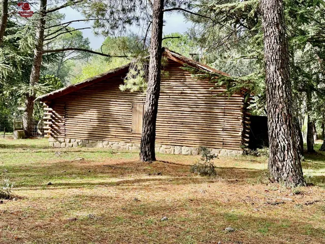 Terreno de 10.117m2 con vivienda de 75m2 rodeado de un precioso bosque — 10