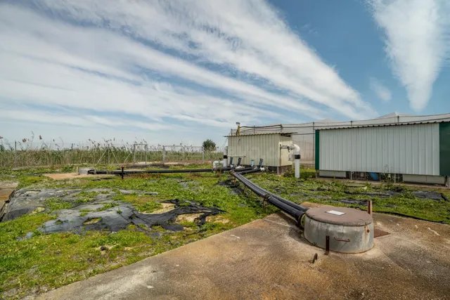 Explotación agrícola de regadío de 11ha en pleno rendimento: - foto 4