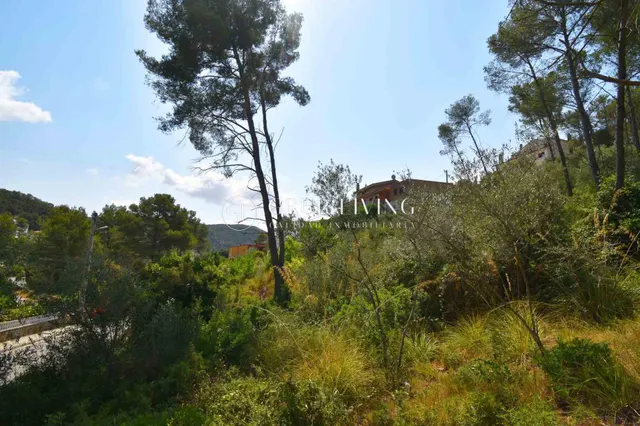 TERRENO EN MAS MESTRE, OLIVELLA — 6