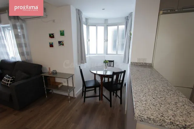 Magnifico Apartamento en la mejor zona de Triana para su est - foto 3