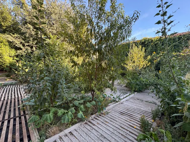 Nave en zona urbana con 264 m2 y con jardín de 114 m2 orientado al sur, garaje y gran potencial como estudio profesional. — 25
