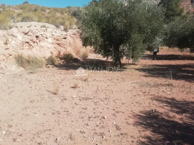 SE VENDE PARCELAMUY CERCA DEL PUEBLO DE MACISVENDA — 14