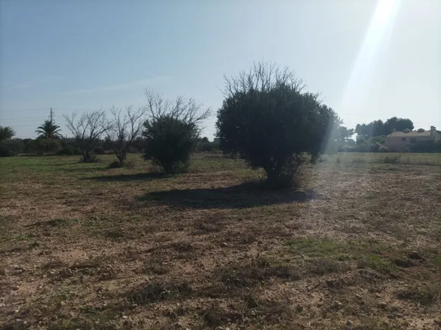 SE VENDE TERRENO RÚSTICO AGRICOLA PARA CONSTRUIR NUEVO CHALET — 18