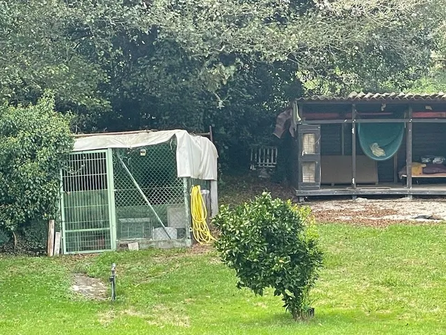 San Isidro. Finca 5.600M con Vivienda familiar — 31