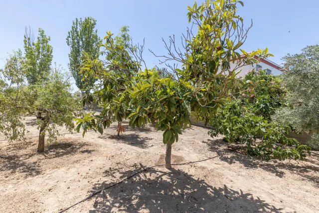 Terreno urbano en la aldea de los Bermejales, termino de Arenas del Rey — 21