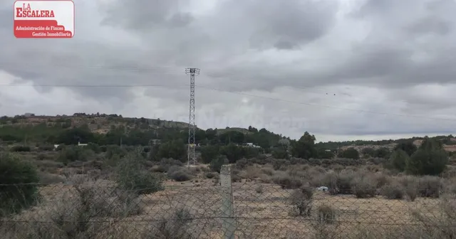 Se venden 3 parcelas de 10.000m2 cada una - foto 2