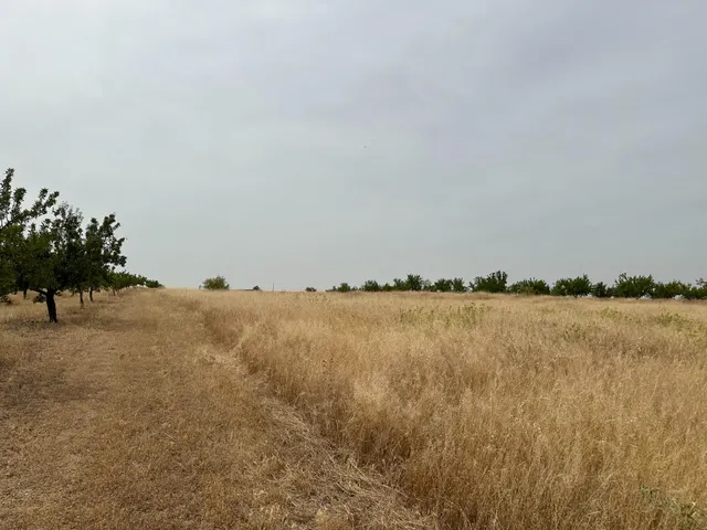 VENTA DE SOLAR URBANIZABLE DE 577 M2 EN CHIMENEAS — 38
