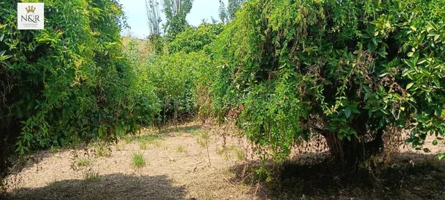 FINCA CON CASA 18 M2 Y AGUA CON ACCESO PEATONAL — 4