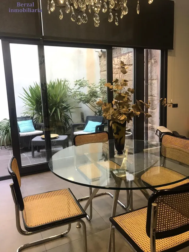 Vivienda SINGULAR en el centro de Logroño.Planta baja, más dos. Terraza de sesenta metros y jardin con pozo. — 24