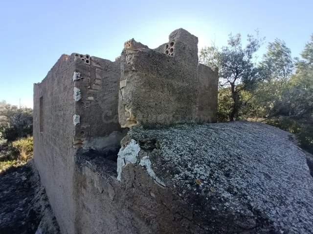 Finca rústica en venta en L’Ametlla de Mar – Gran parcela co - foto 5