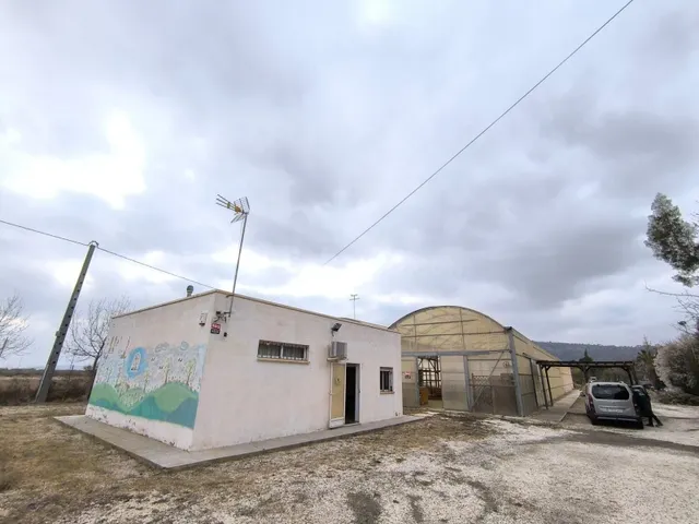 Local comercial 972m² en venta - Pedanías Oeste - foto 3